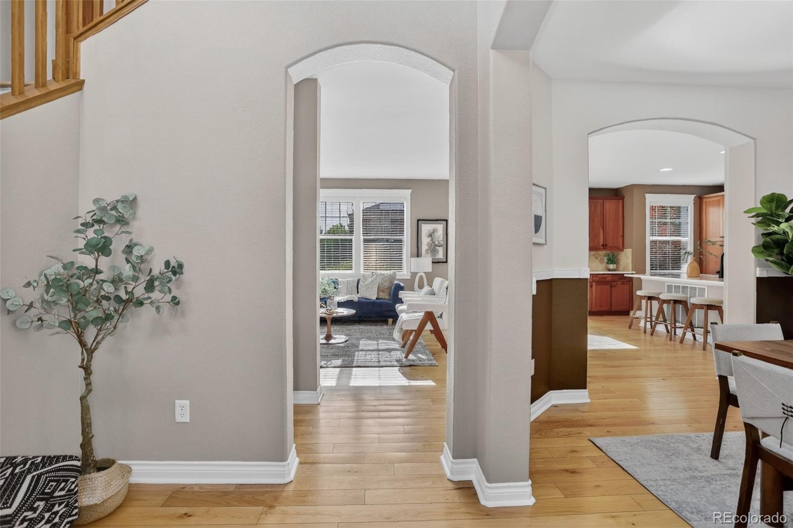 3596 Wabash Street Denver CO 80238