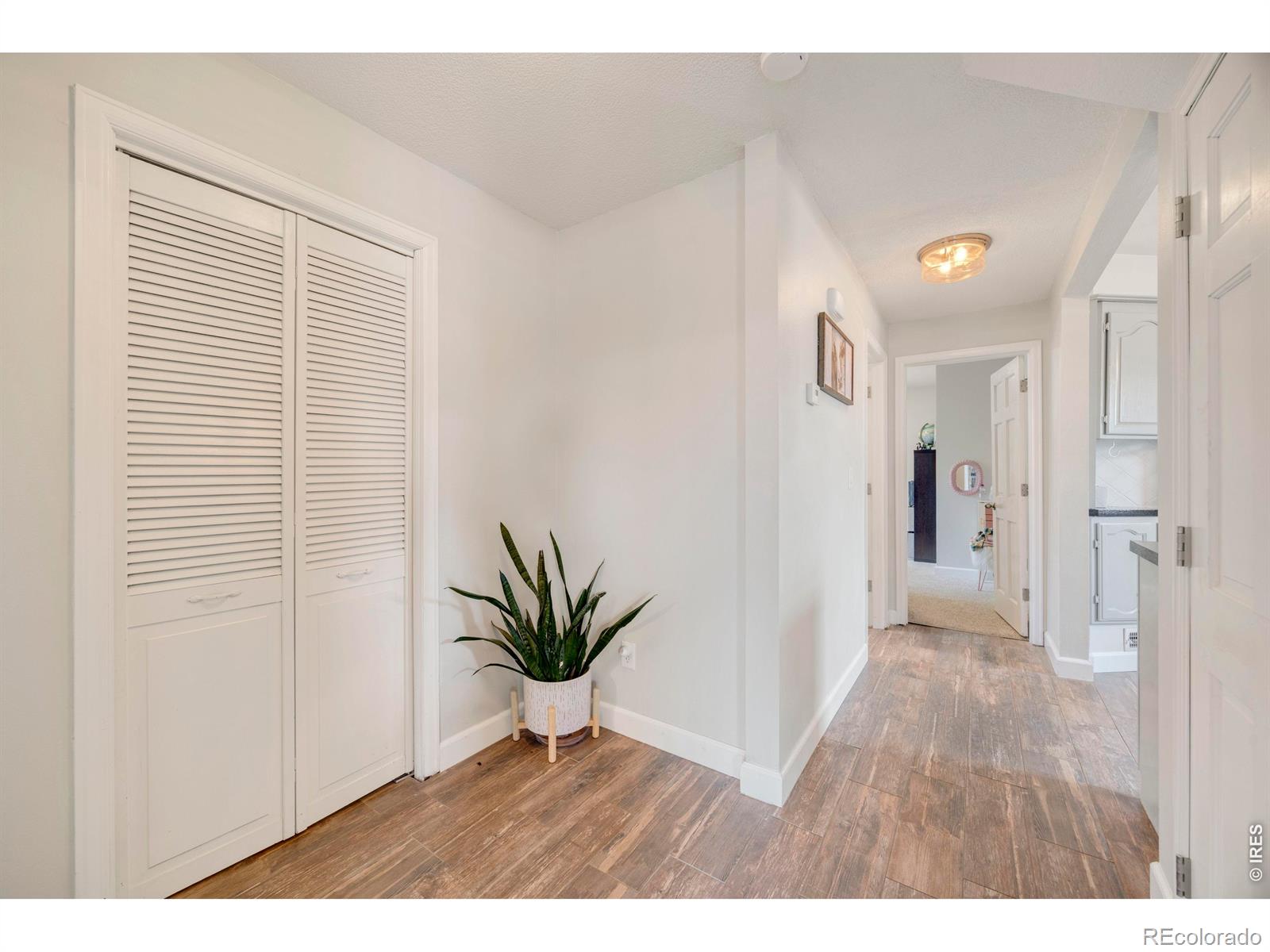 201 E 4th Avenue Severance CO 80546