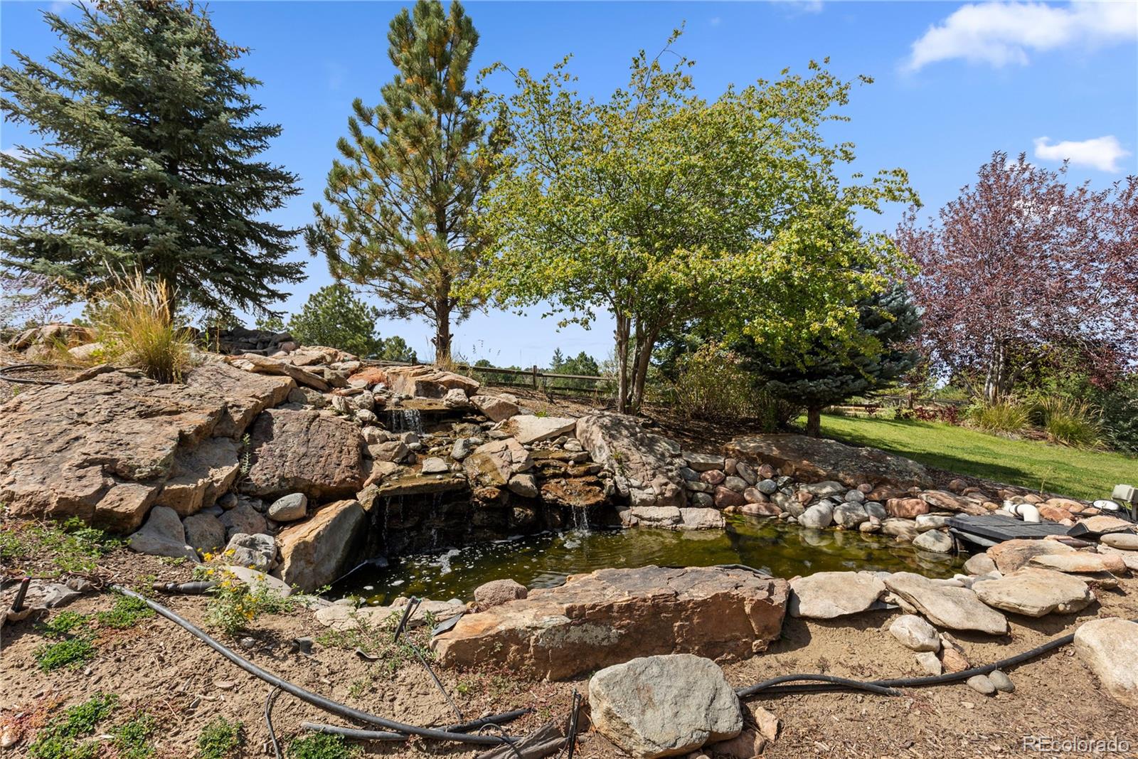 19333 E Briarwood Place Aurora CO 80016