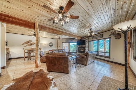 8966 Hanging Tree Drive Salida CO 81201