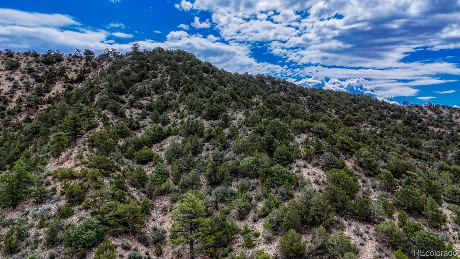 8966 Hanging Tree Drive Salida CO 81201