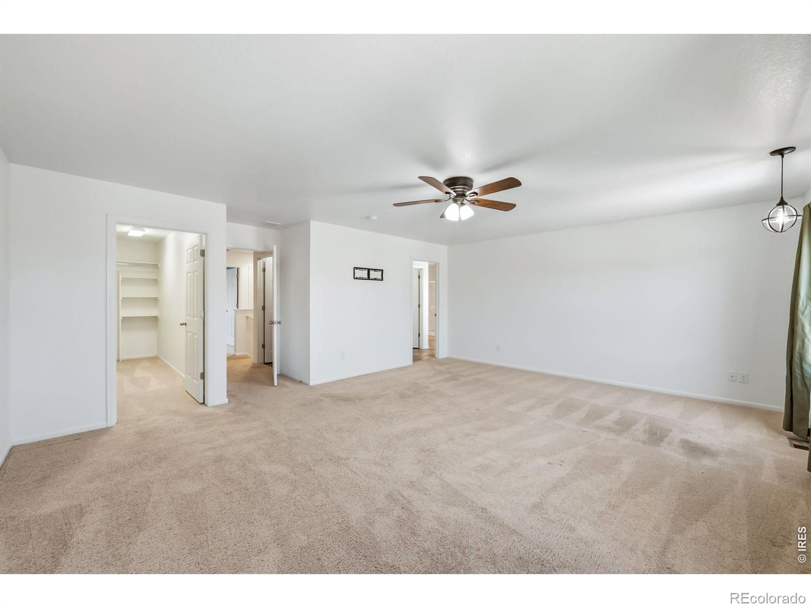 3611 Daylily Street Wellington CO 80549