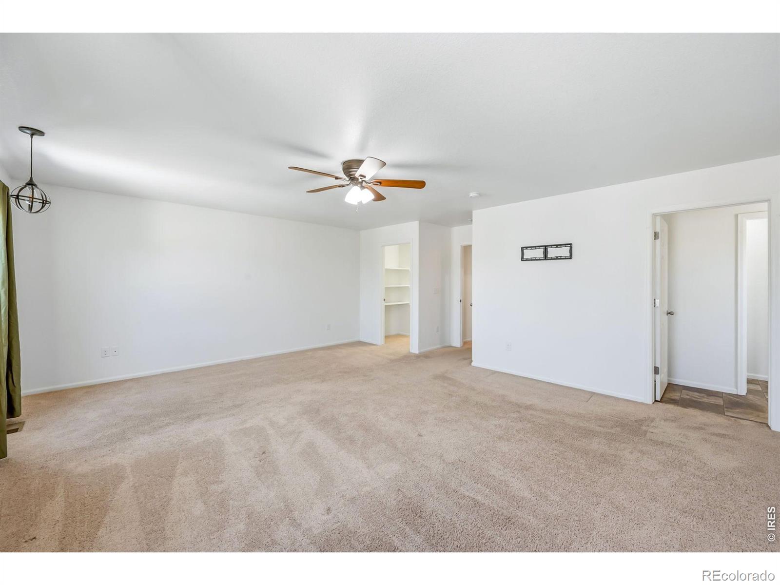 3611 Daylily Street Wellington CO 80549