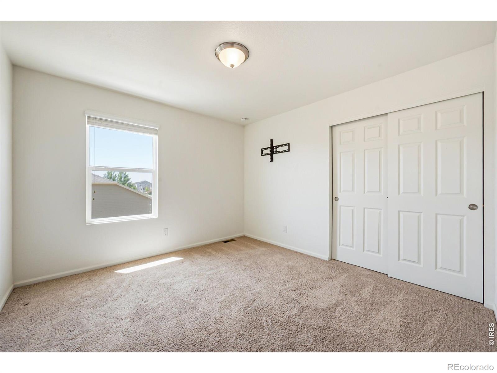 3611 Daylily Street Wellington CO 80549