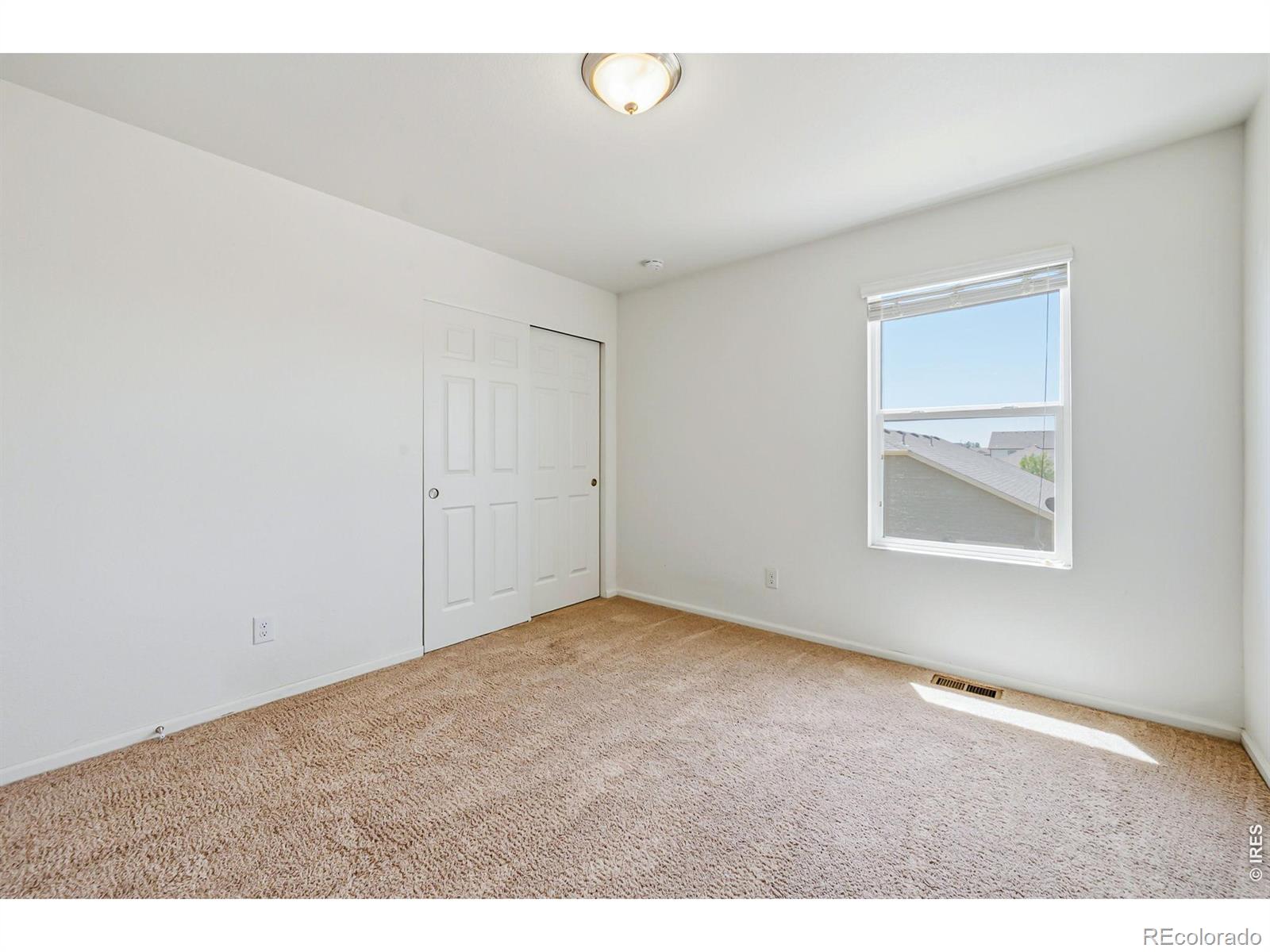 3611 Daylily Street Wellington CO 80549