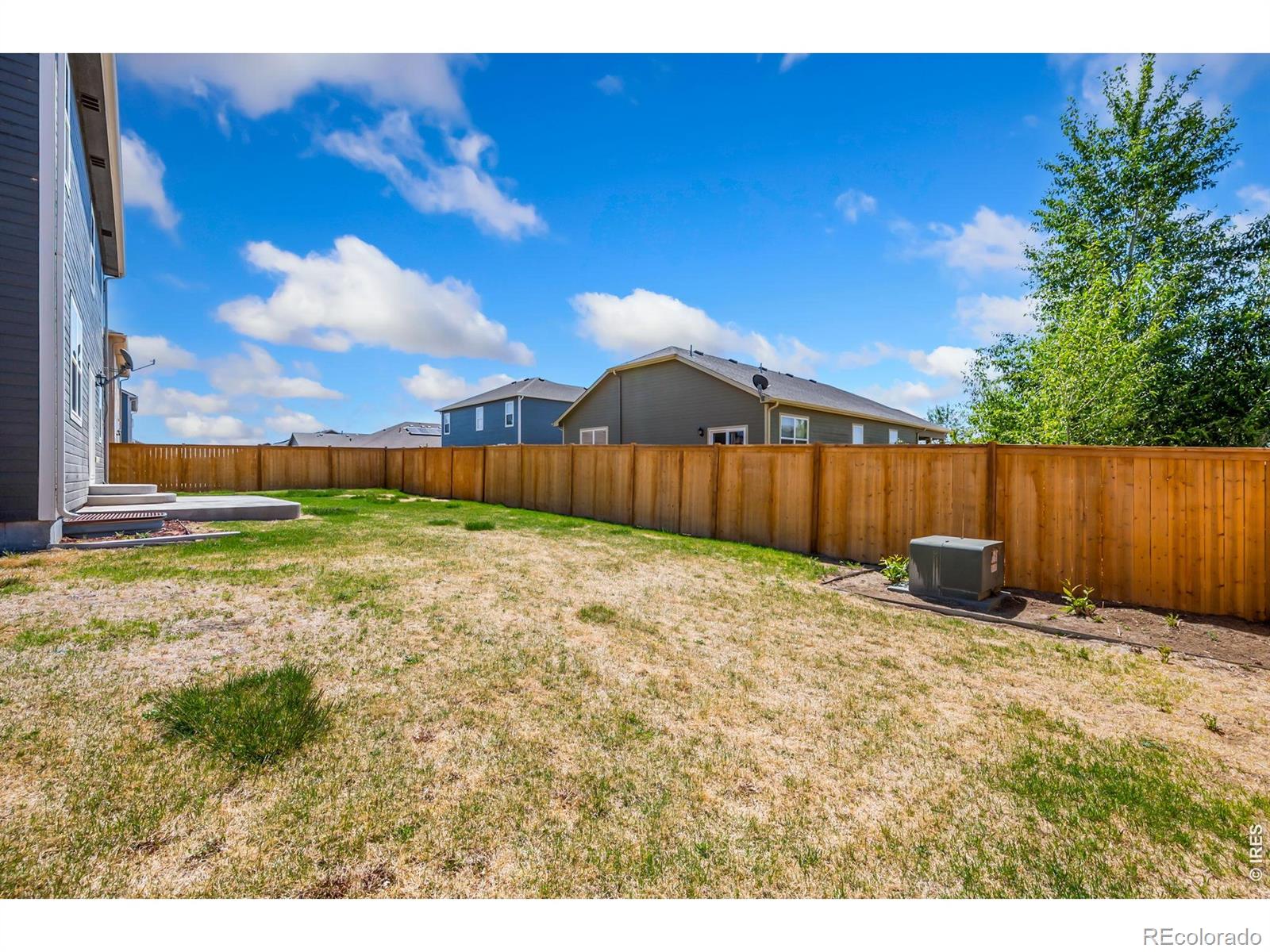 3611 Daylily Street Wellington CO 80549
