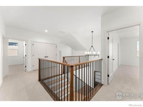 136 Blue Fortune Drive Windsor CO 80550