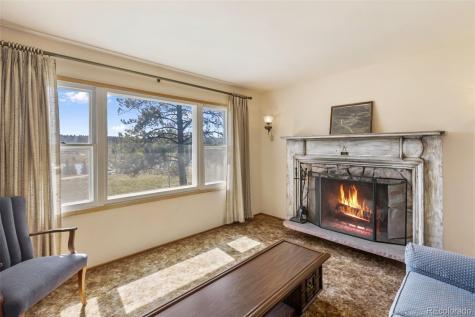 44 Remuda Lane Florissant CO 80816