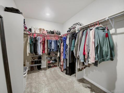 1642 Colorado River Drive Windsor CO 80550