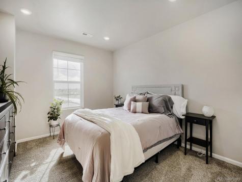 1642 Colorado River Drive Windsor CO 80550
