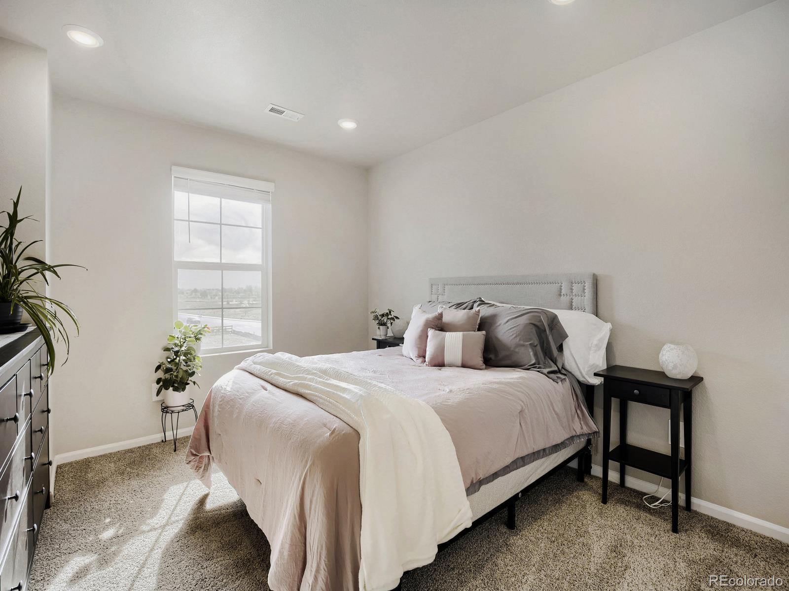 1642 Colorado River Drive Windsor CO 80550