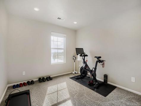1642 Colorado River Drive Windsor CO 80550