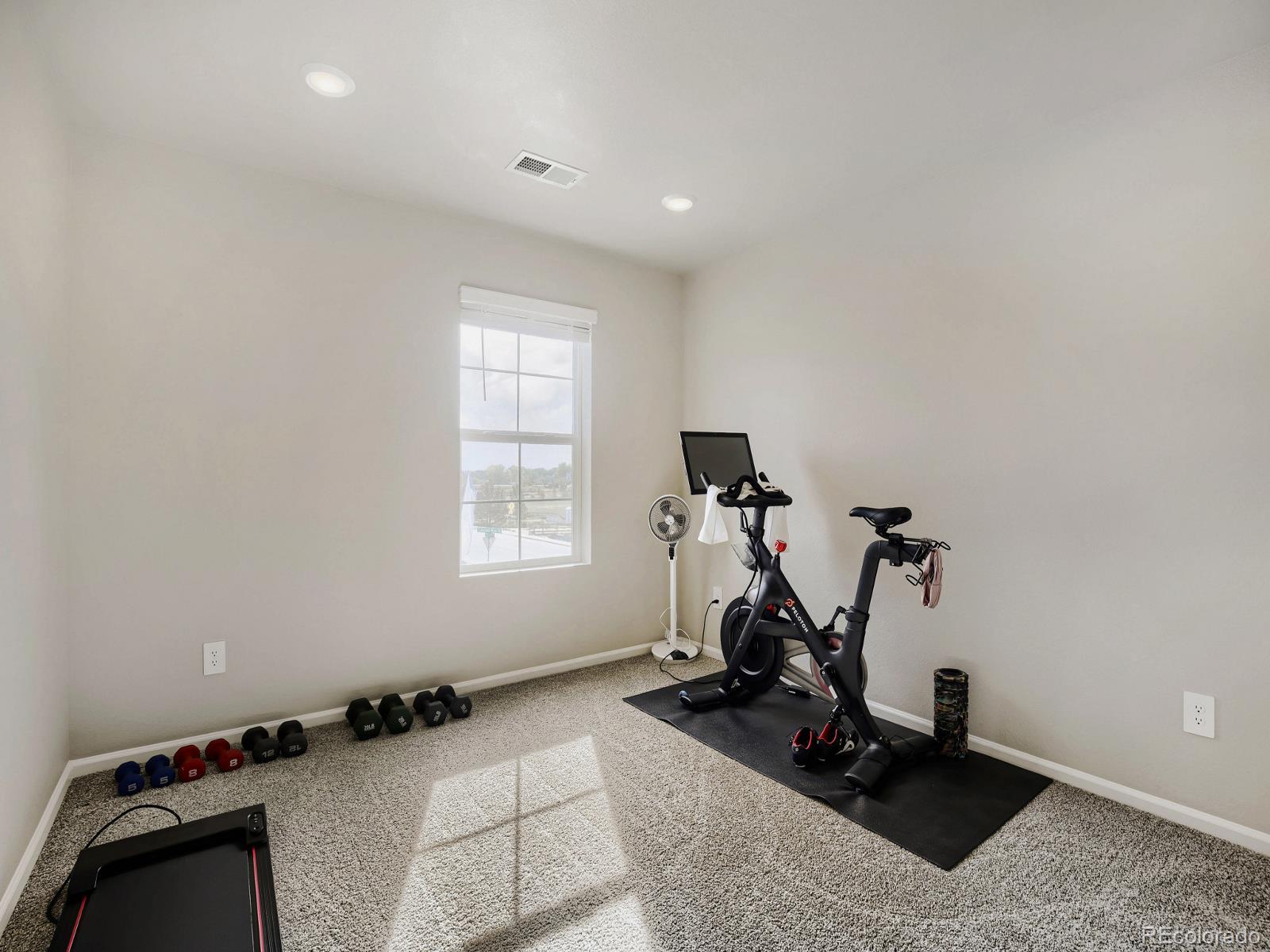 1642 Colorado River Drive Windsor CO 80550