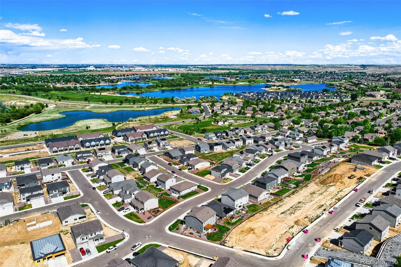 1642 Colorado River Drive Windsor CO 80550