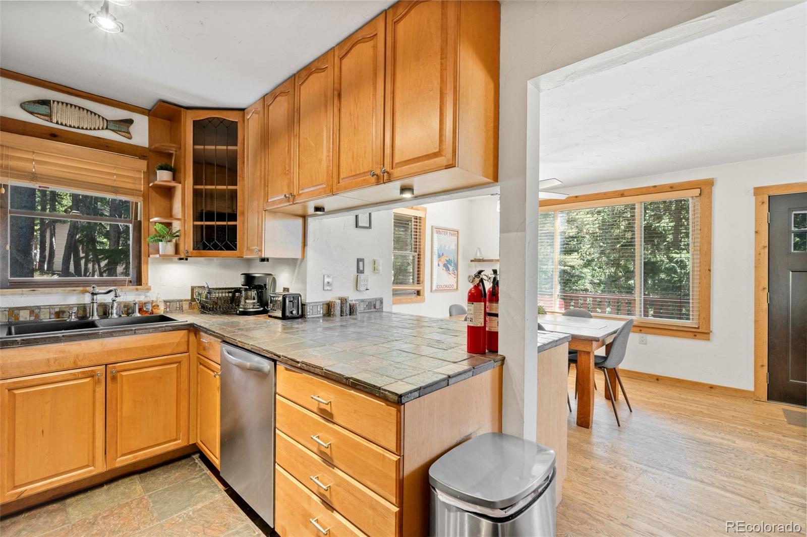 38 Brook Drive Idaho Springs CO 80452