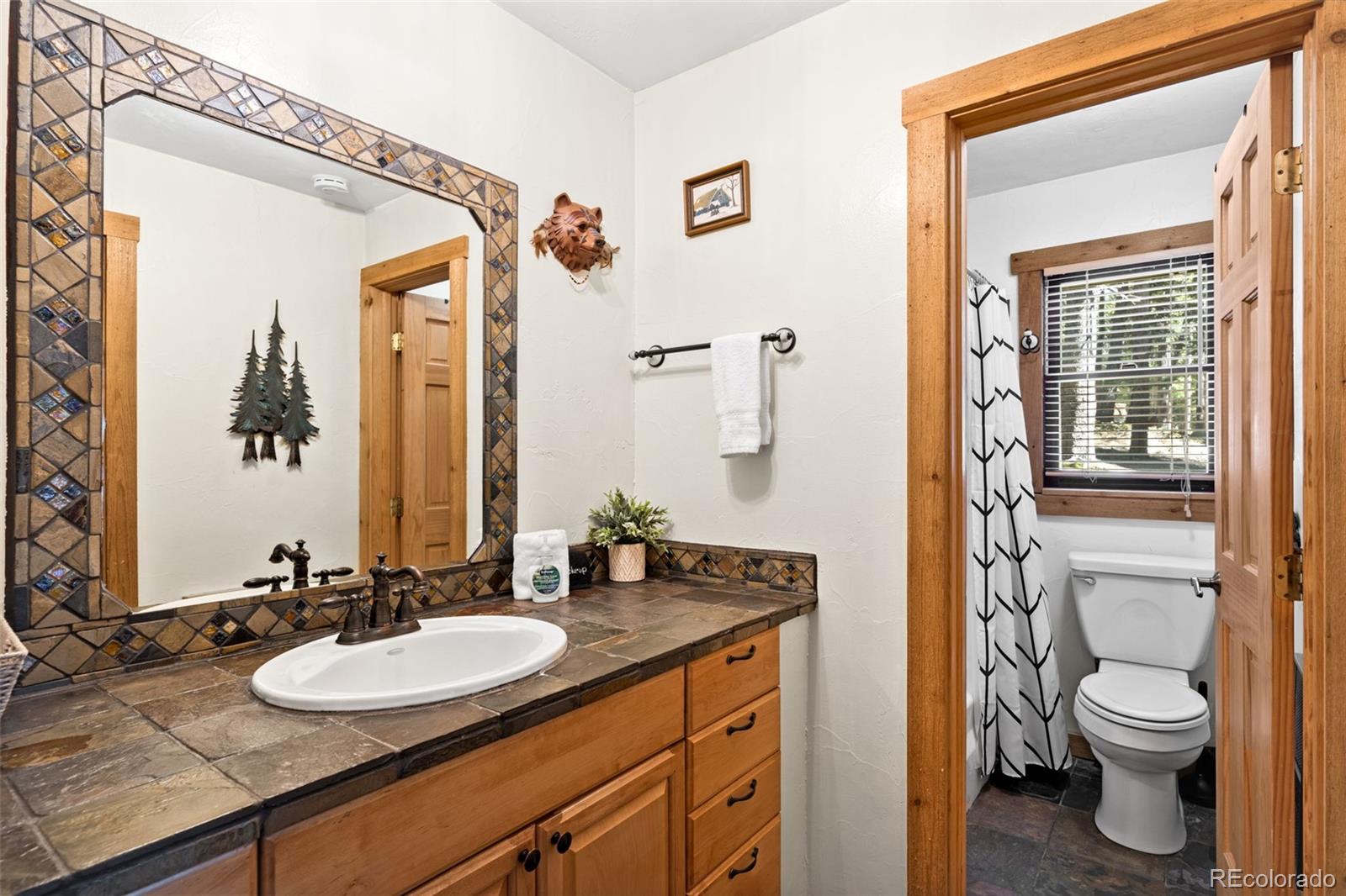 38 Brook Drive Idaho Springs CO 80452