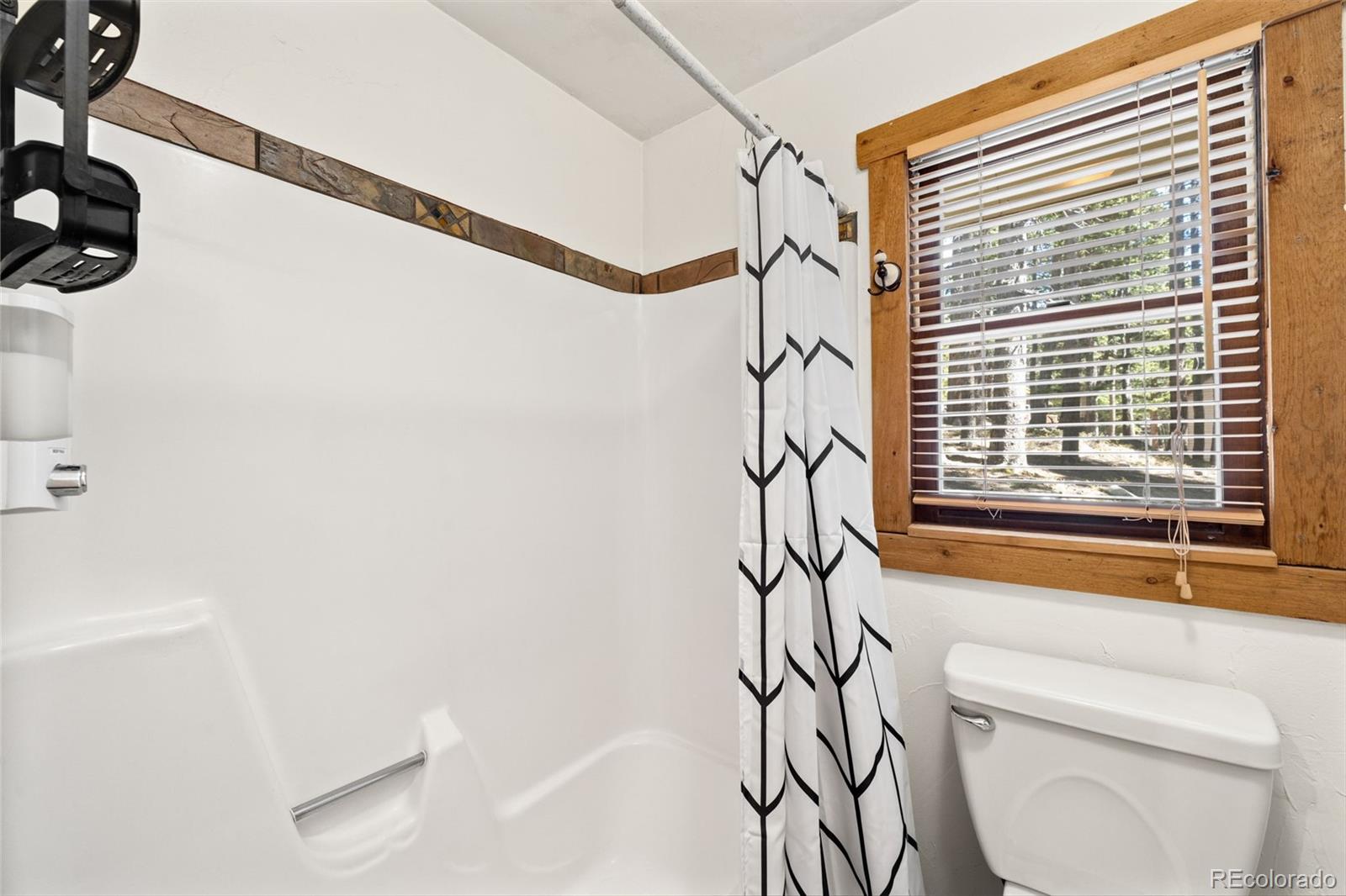 38 Brook Drive Idaho Springs CO 80452