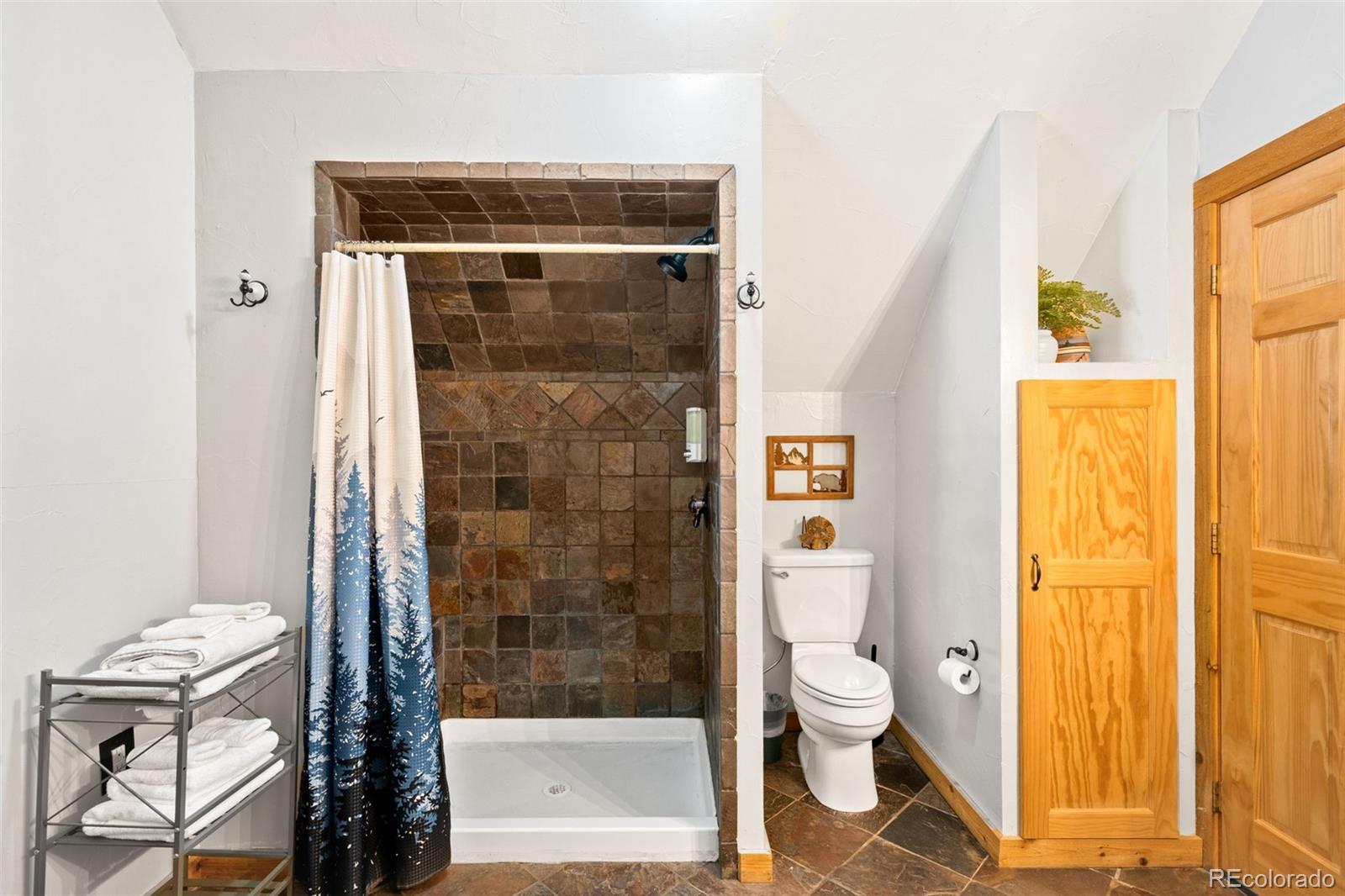 38 Brook Drive Idaho Springs CO 80452