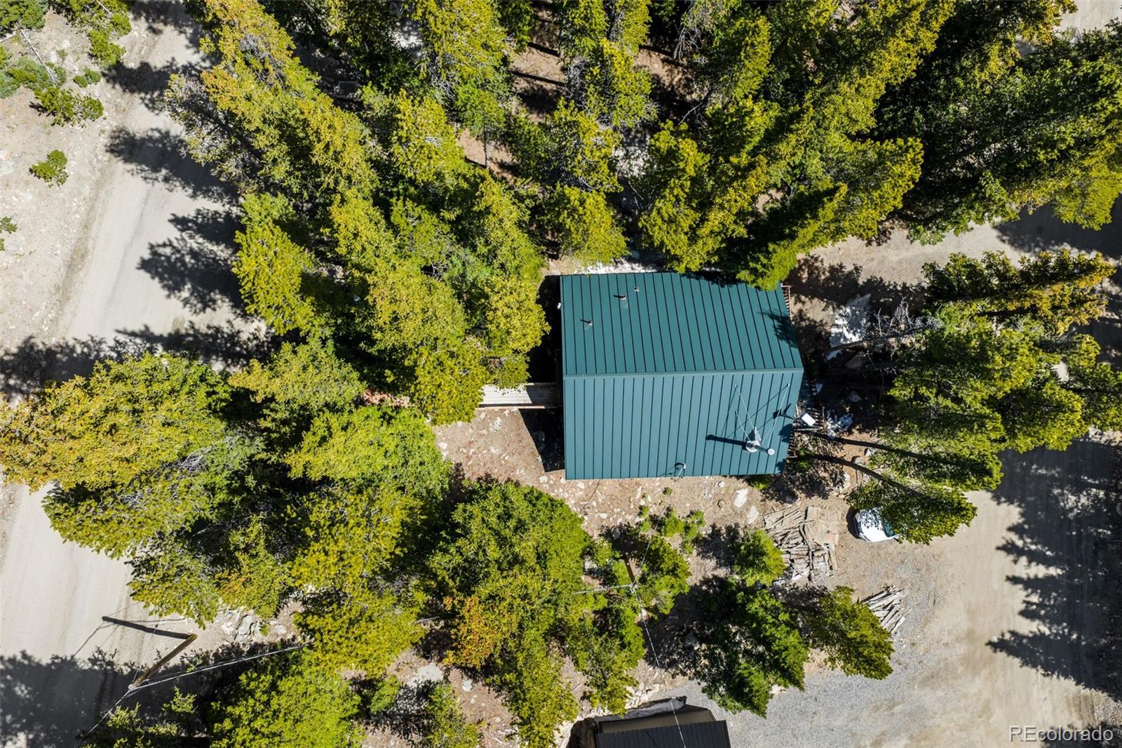 38 Brook Drive Idaho Springs CO 80452