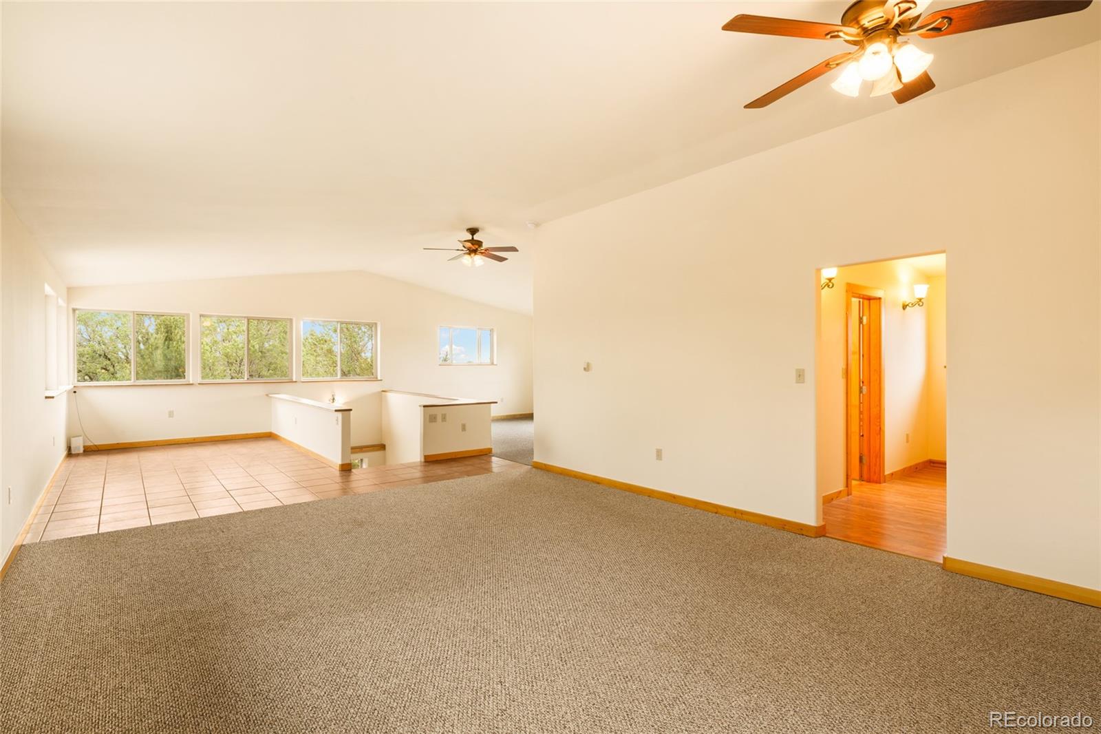 235 S Hemlock Street Crestone CO 81131