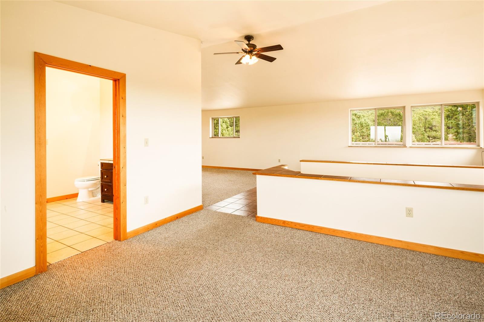 235 S Hemlock Street Crestone CO 81131