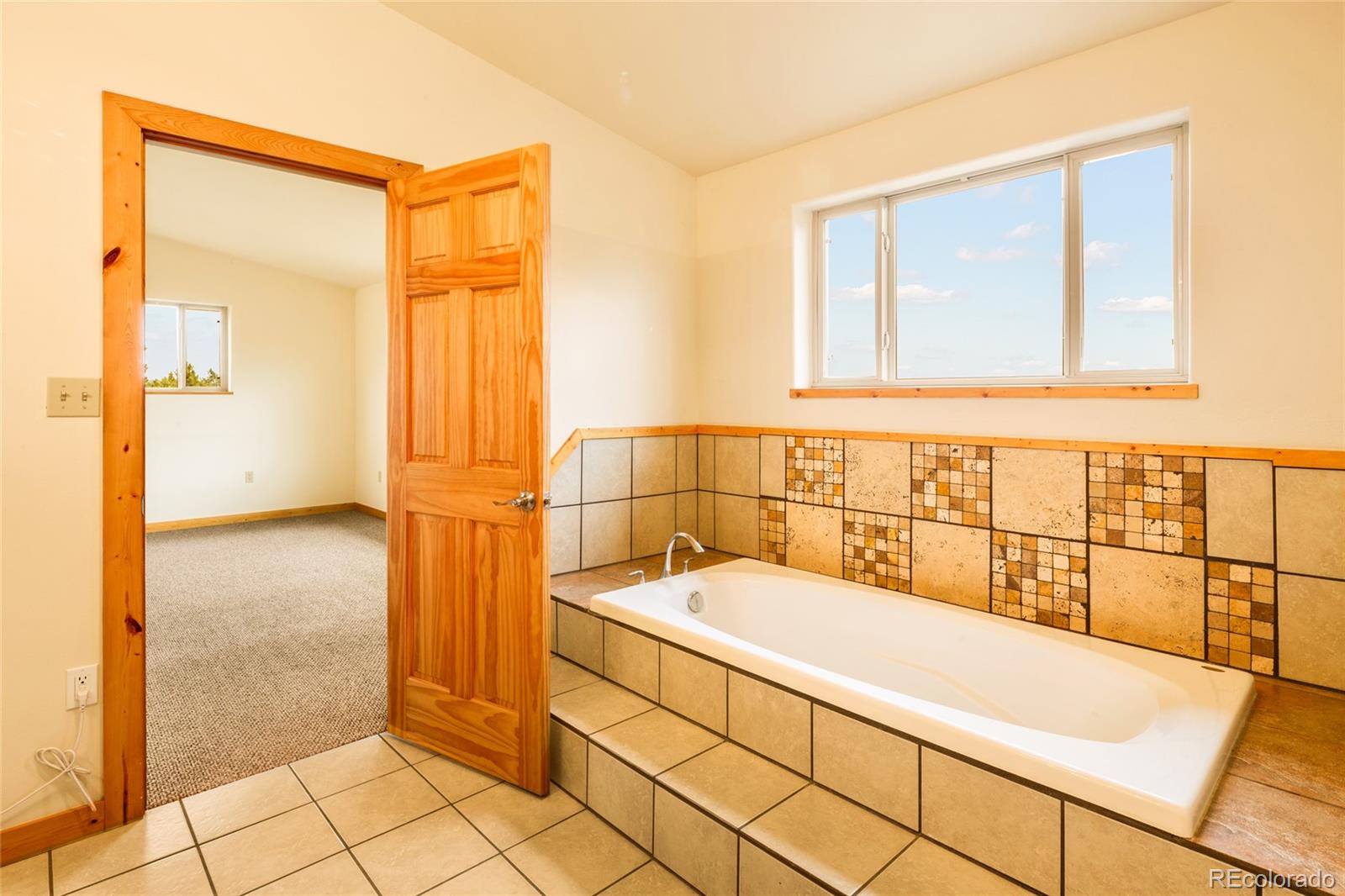 235 S Hemlock Street Crestone CO 81131