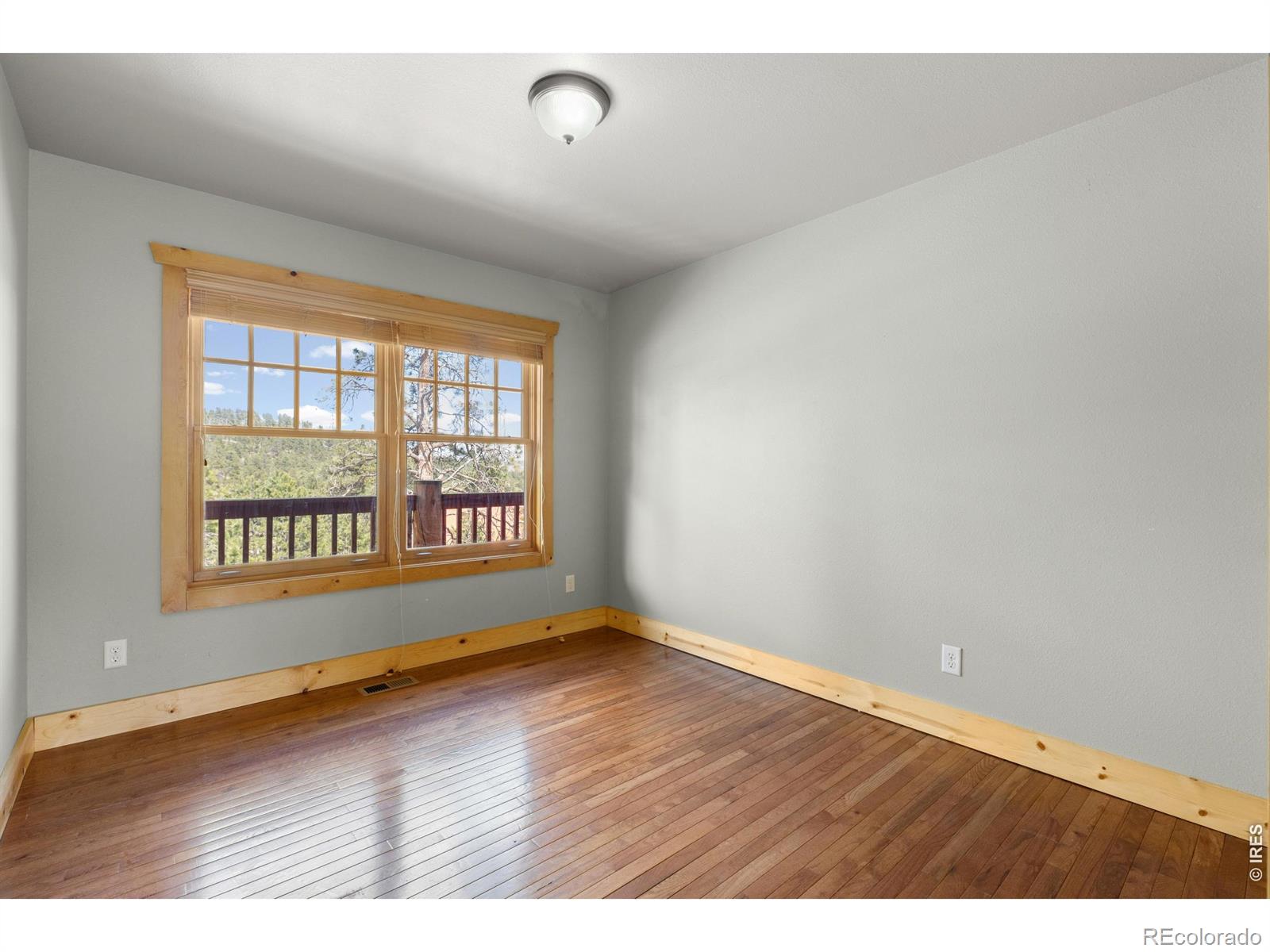 2515 Davis Ranch Road Bellvue CO 80512