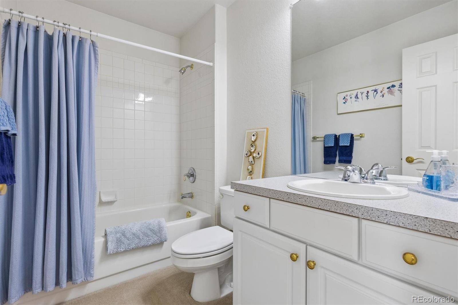10555 Kalahari Court Littleton CO 80124