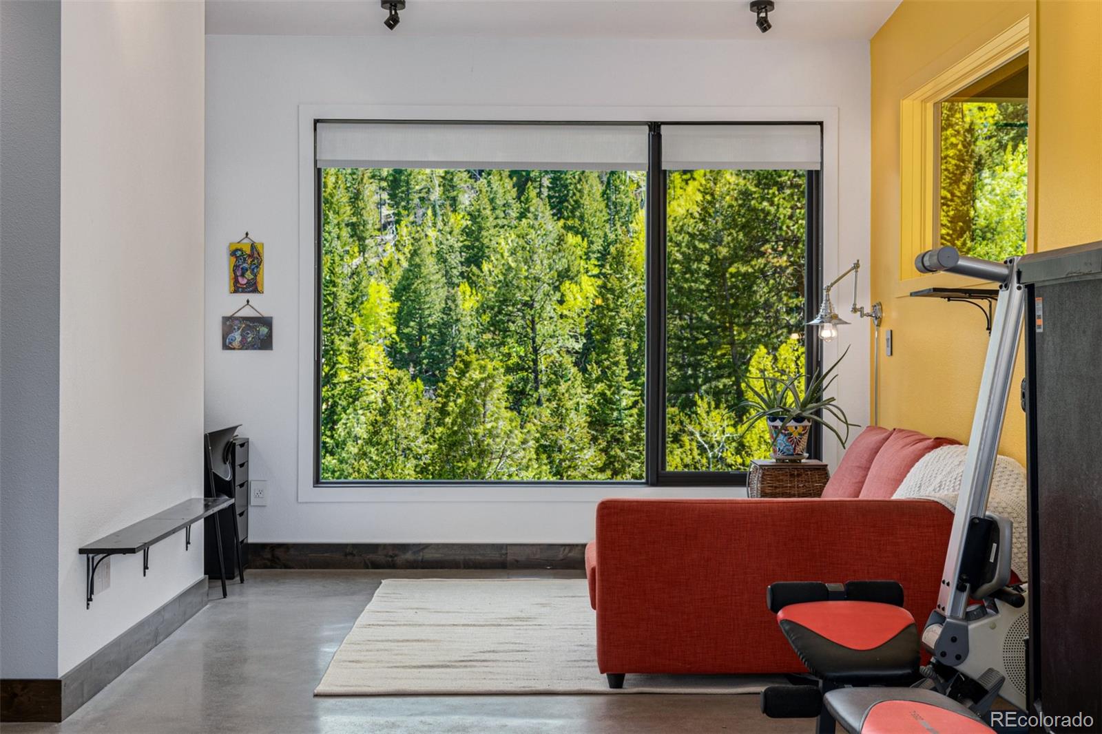 5896 Peregrine Trail Golden CO 80403