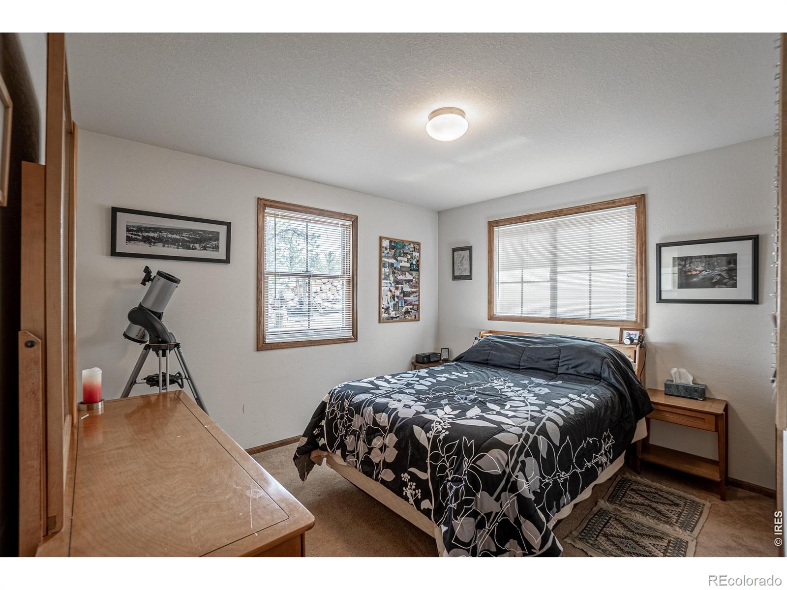 307 Brewster Lane Livermore CO 80536