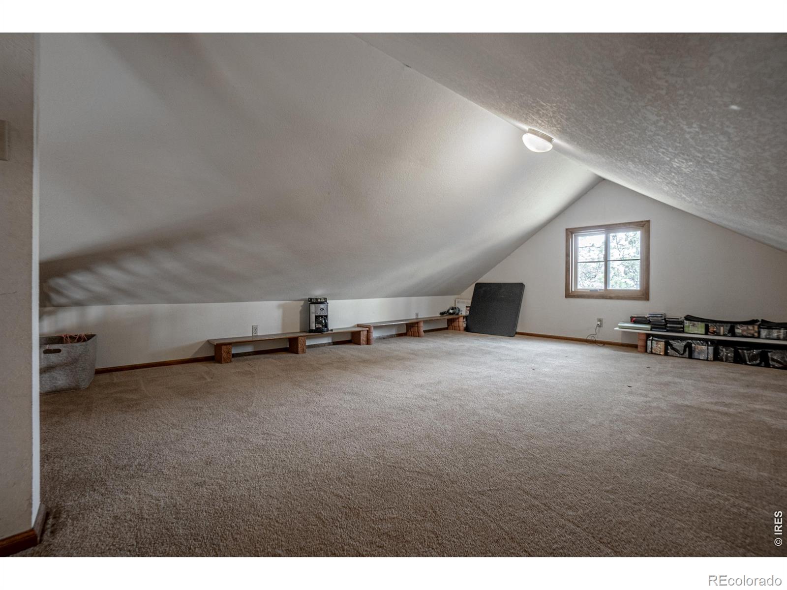 307 Brewster Lane Livermore CO 80536
