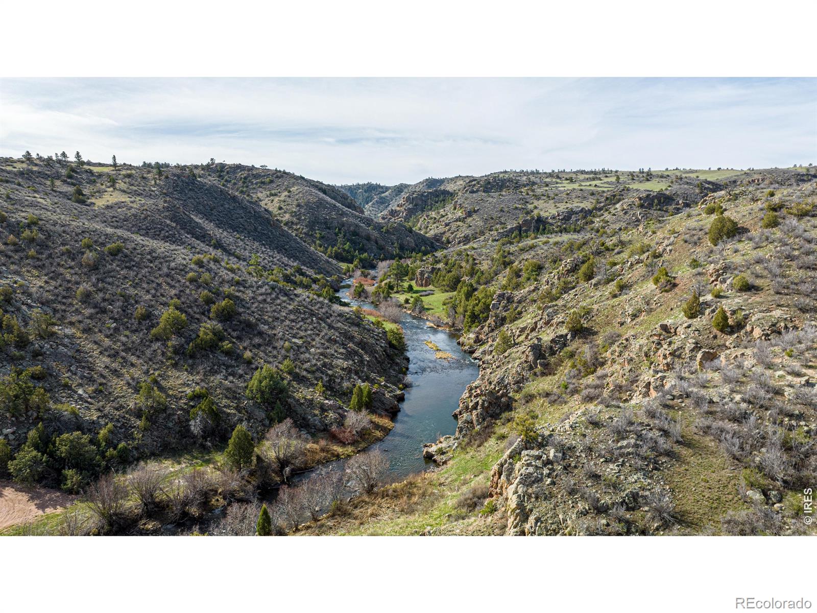 307 Brewster Lane Livermore CO 80536