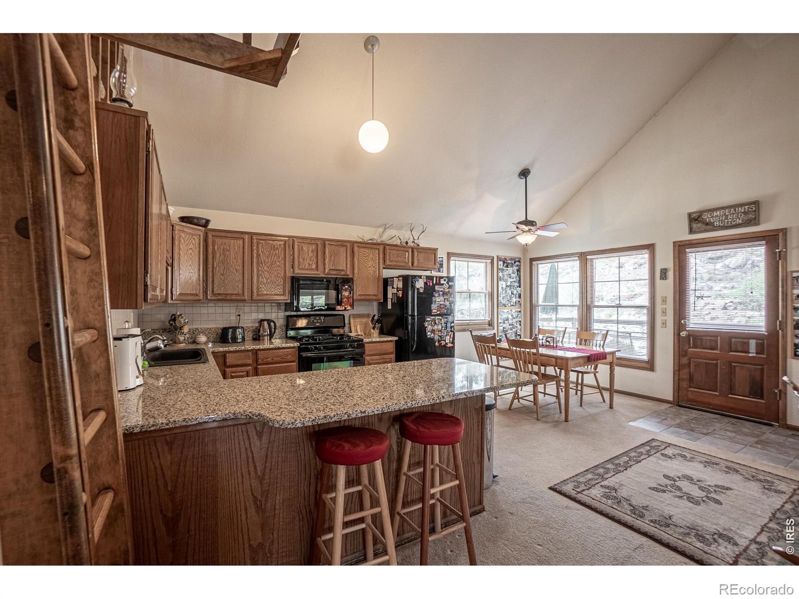 307 Brewster Lane Livermore CO 80536