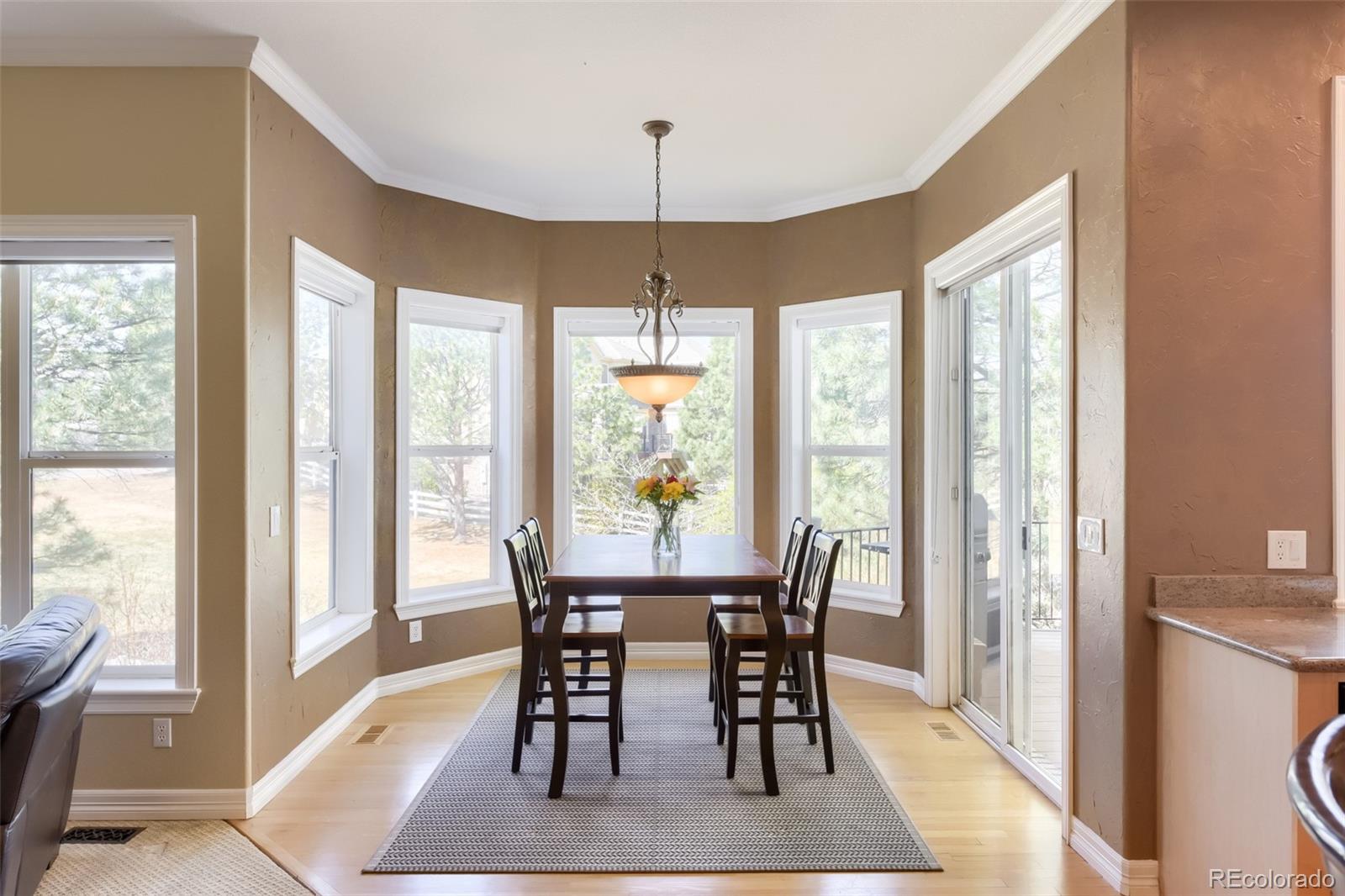 9969 Longview Drive Lone Tree CO 80124