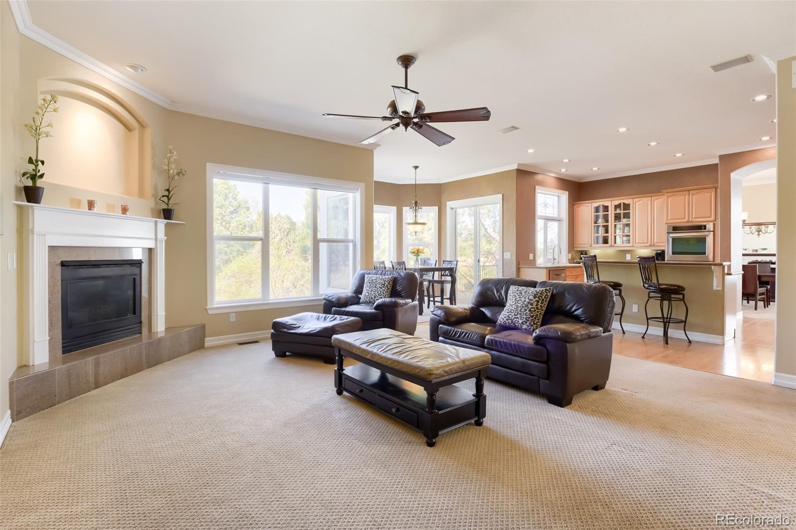 9969 Longview Drive Lone Tree CO 80124