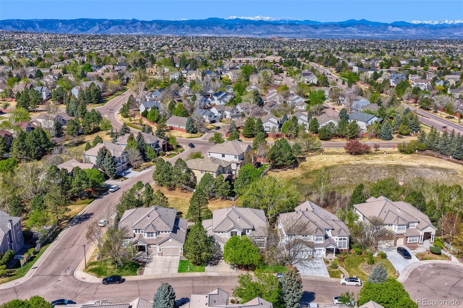 9969 Longview Drive Lone Tree CO 80124