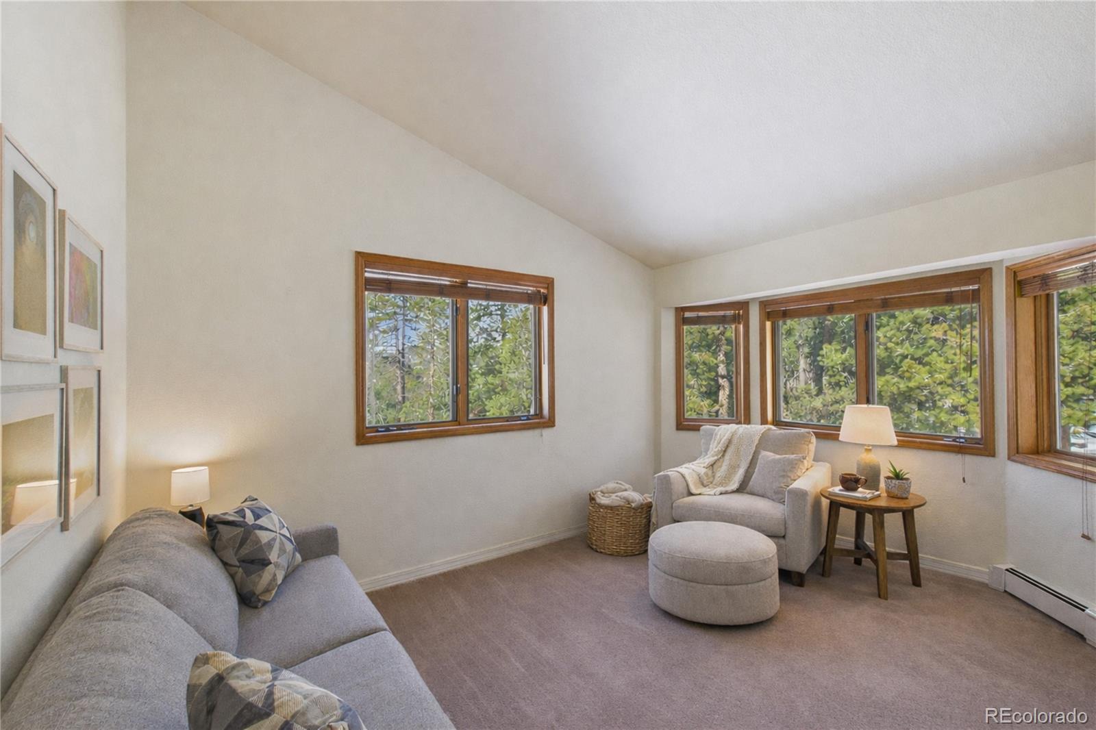 10798 Crystal Way Conifer CO 80433