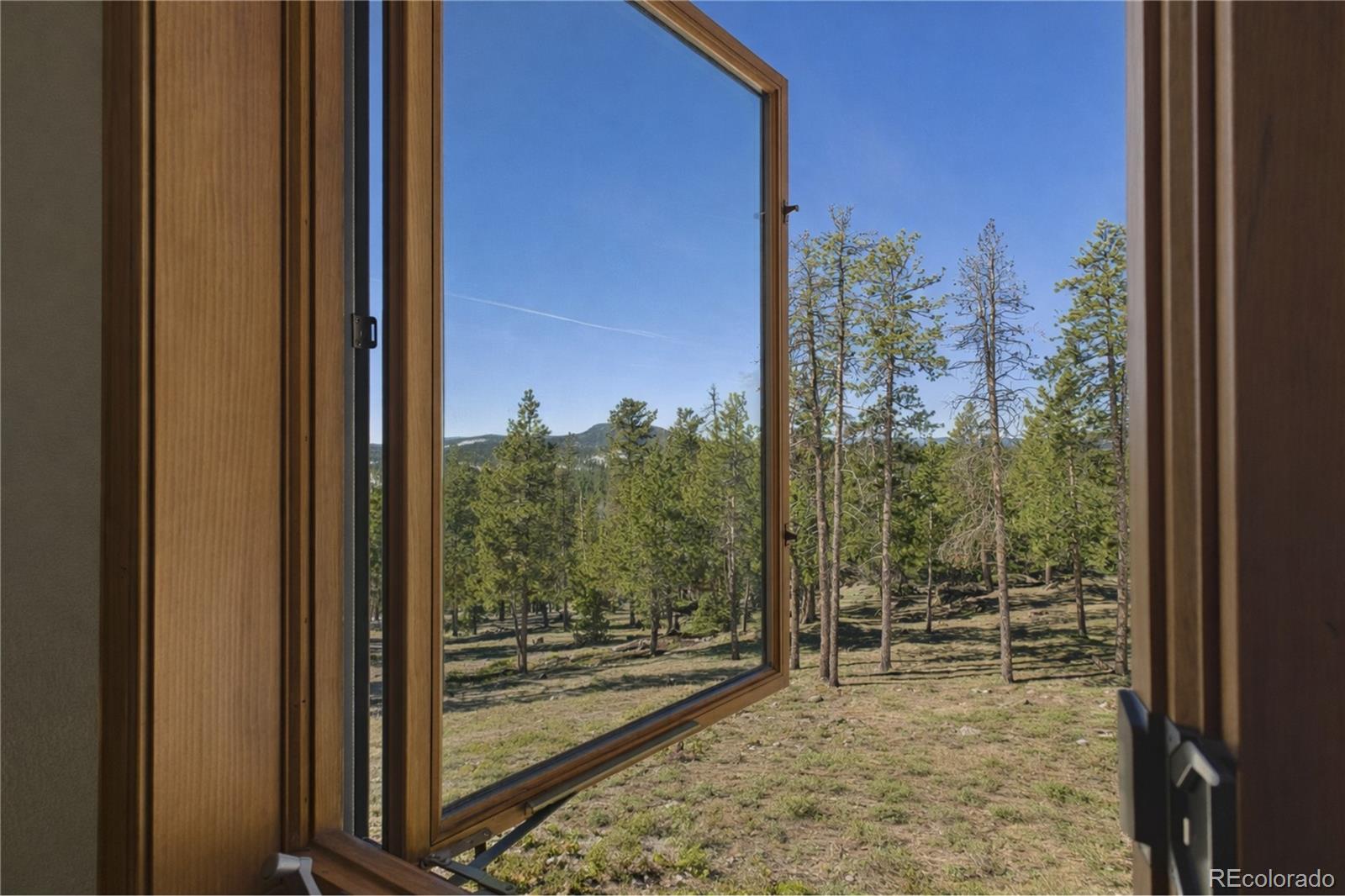 10798 Crystal Way Conifer CO 80433