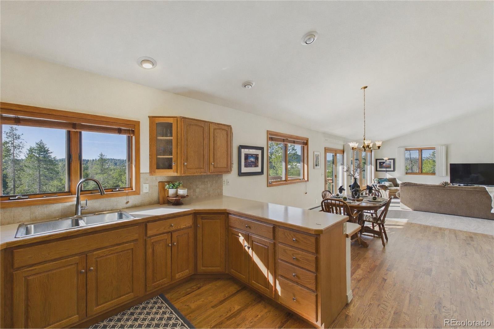 10798 Crystal Way Conifer CO 80433