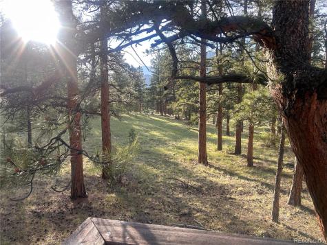 861 Happy Top Trail Bailey CO 80421