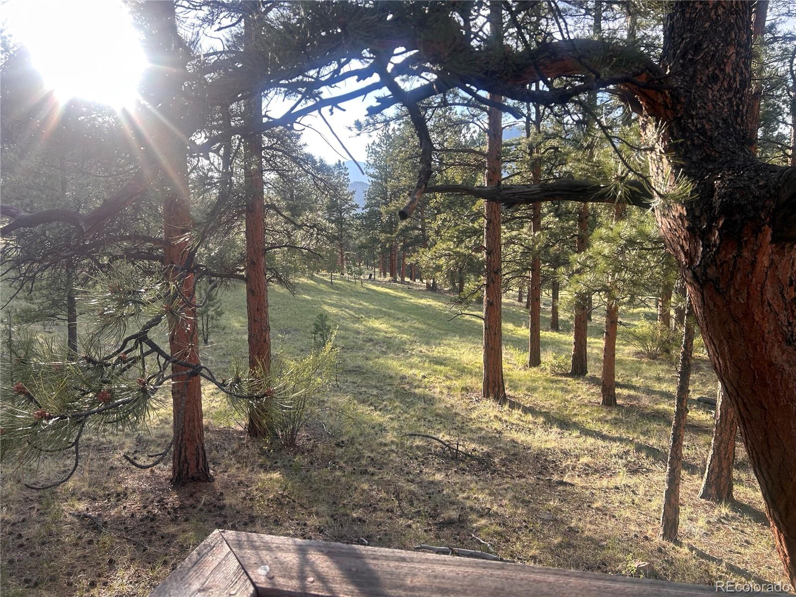 861 Happy Top Trail Bailey CO 80421