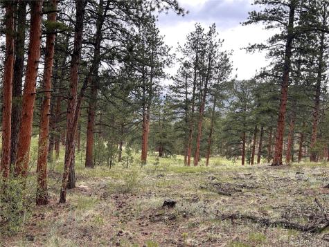 861 Happy Top Trail Bailey CO 80421