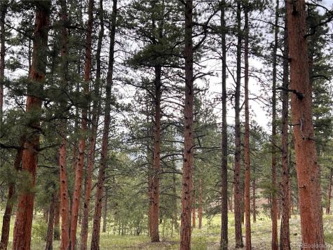 861 Happy Top Trail Bailey CO 80421