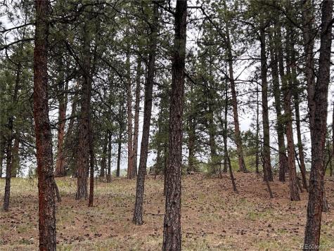 861 Happy Top Trail Bailey CO 80421