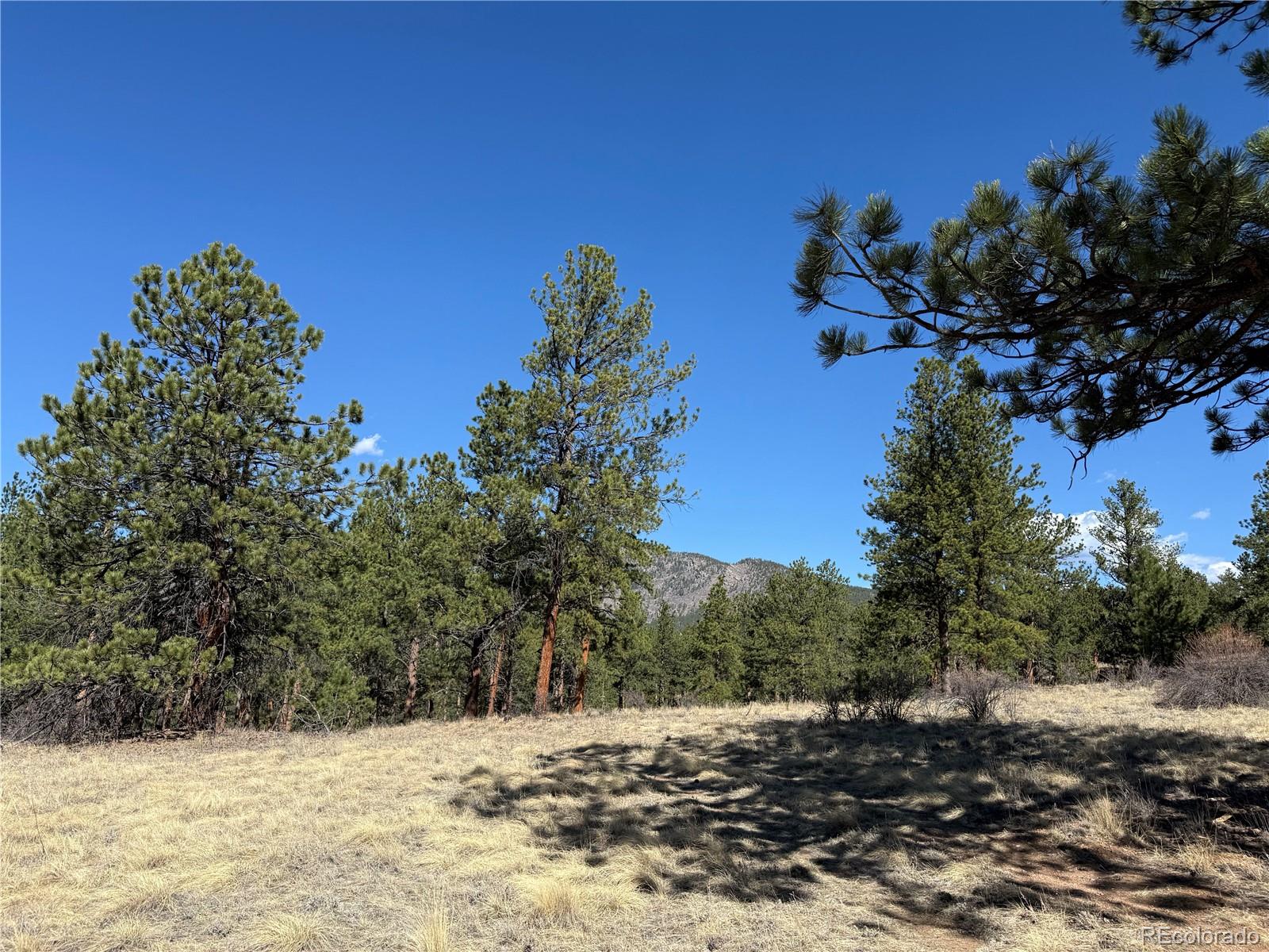 861 Happy Top Trail Bailey CO 80421