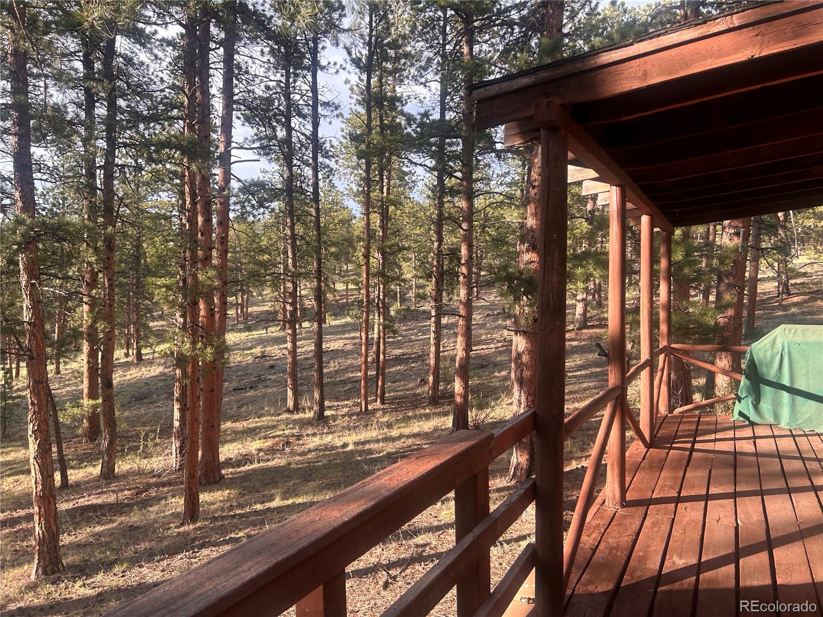861 Happy Top Trail Bailey CO 80421