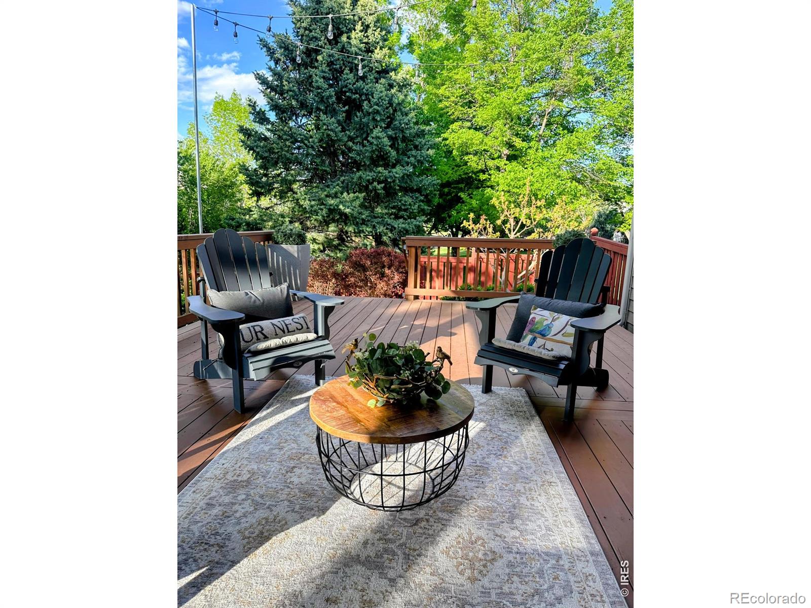2506 Jadestone Court Fort Collins CO 80525