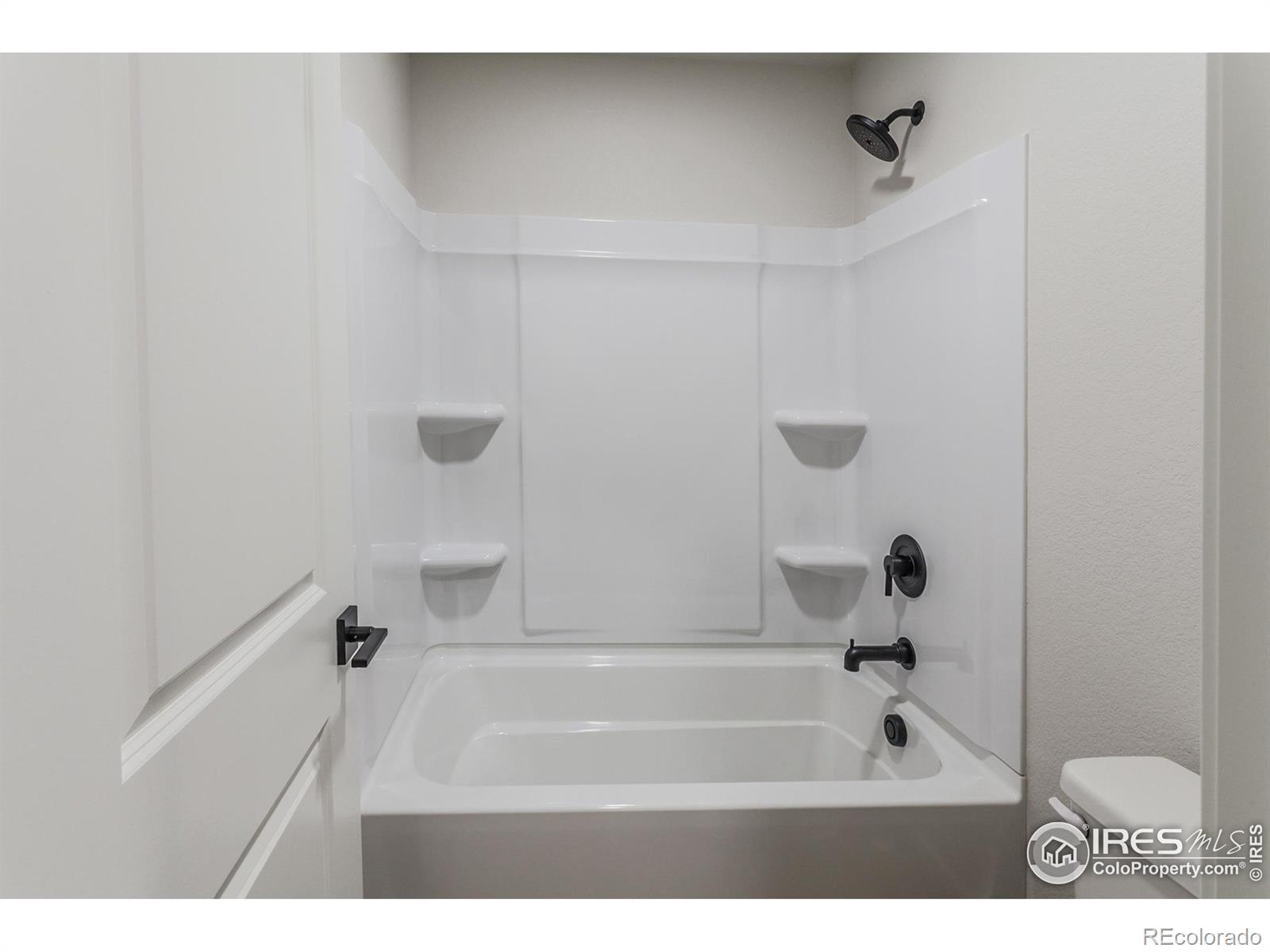 6117 Saddle Horn Drive Timnath CO 80547