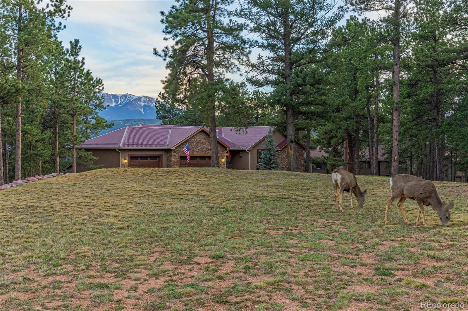 791 Skyline Drive Woodland Park CO 80863