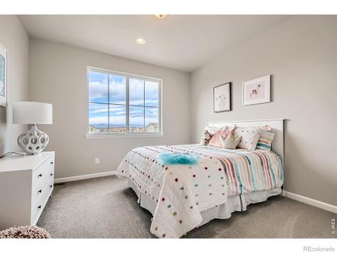 617 Noola Street Windsor CO 80550
